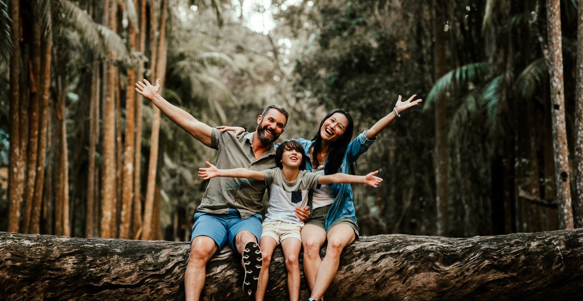 Family adventure at Tamborine Mountain Glades