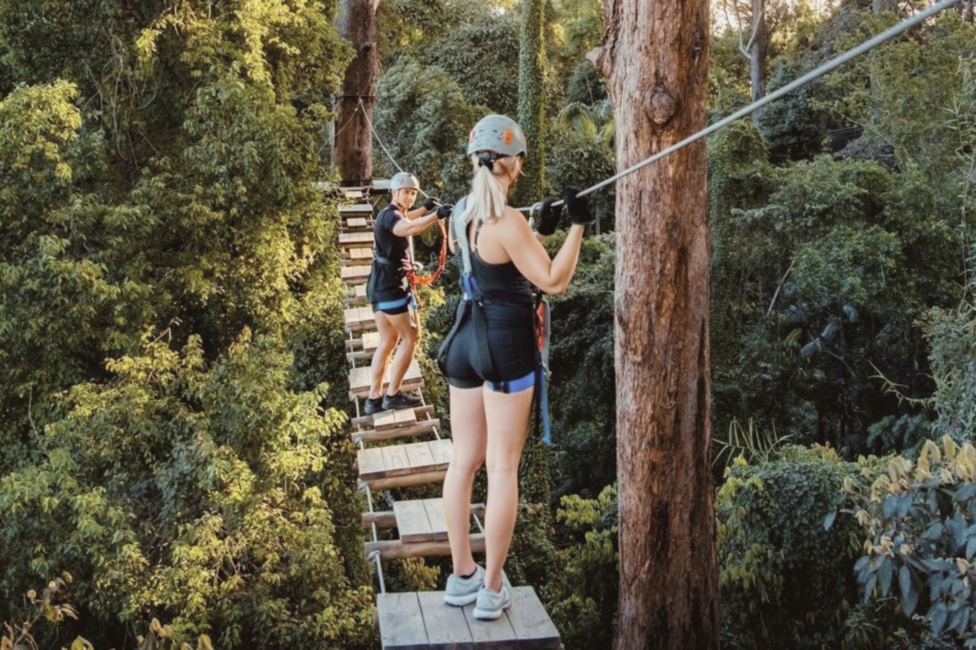 TreeTop Challenge