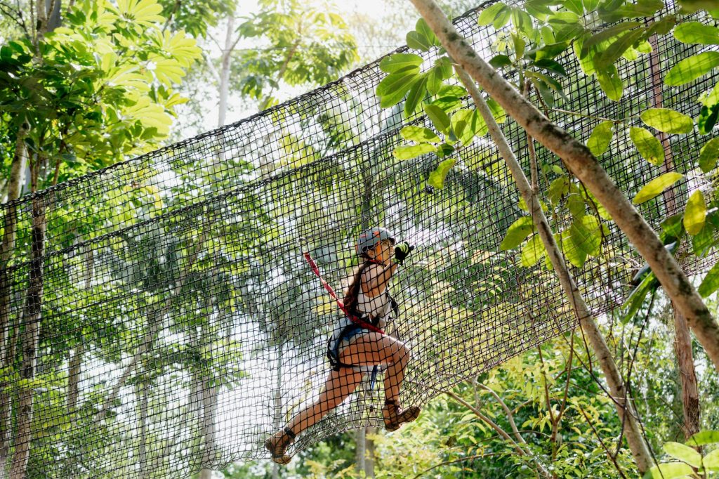 things to do tamborine mountain