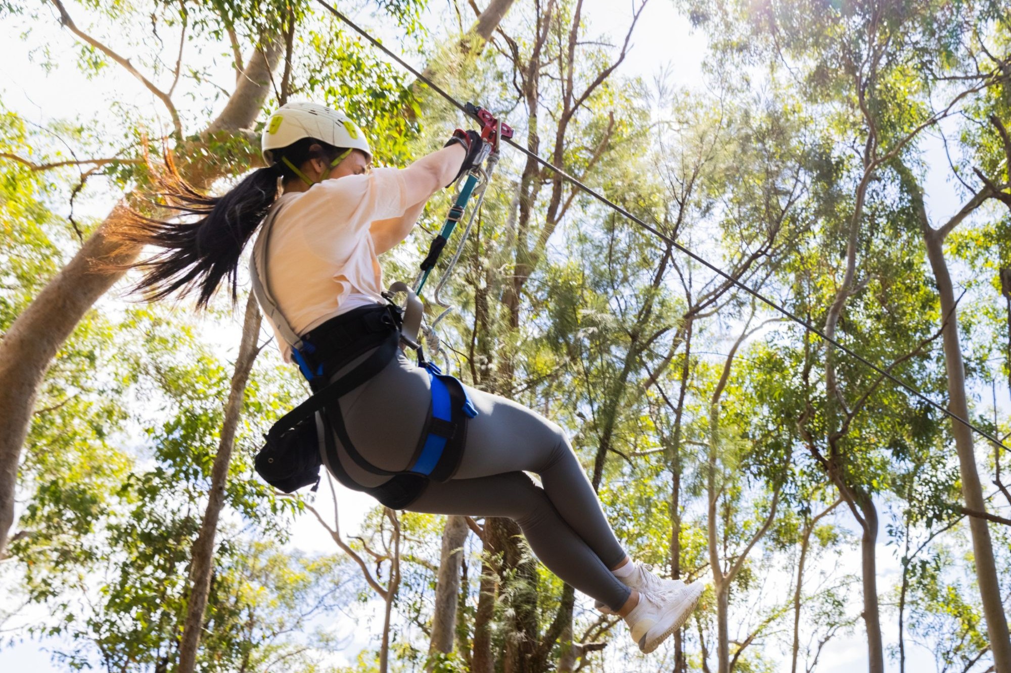 Thunderbird Park adventure at Tamborine Mountain Glades