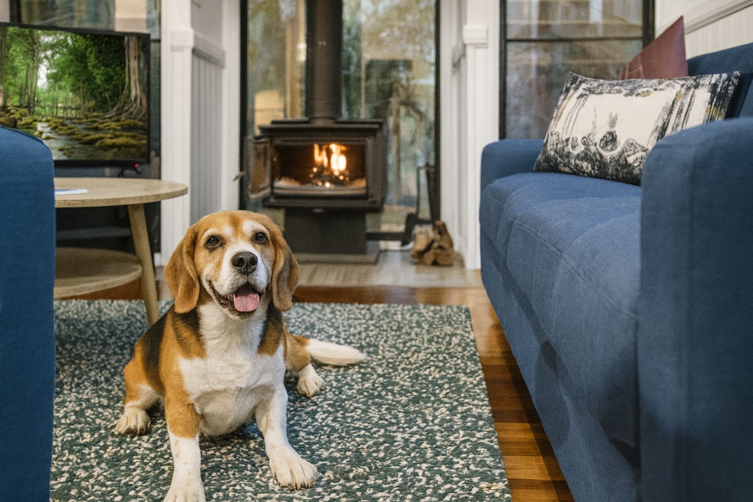 Dog-friendly stay at Tamborine Mountain Glades