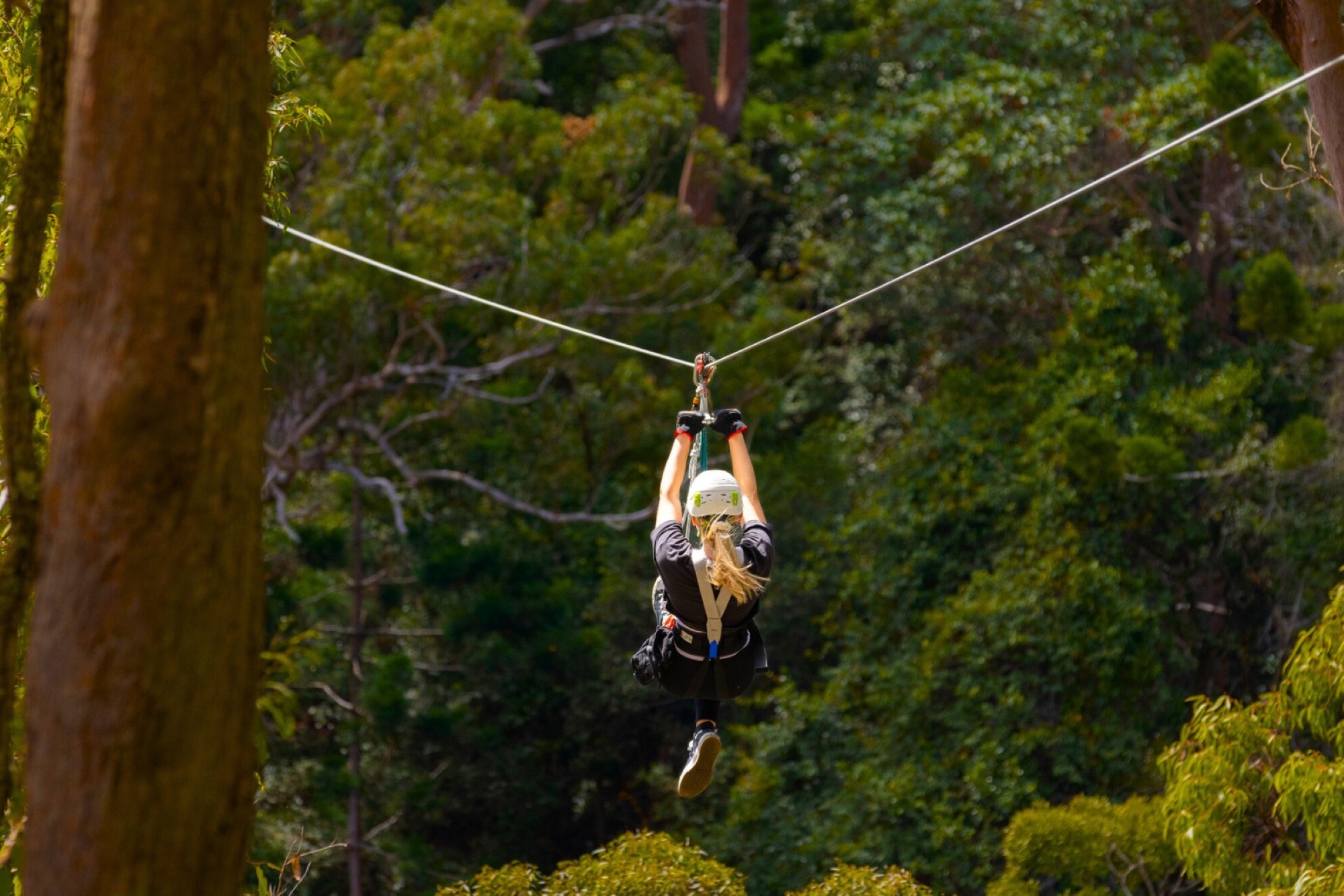 Canyon Flyer guided zipline at Thunderbird Park
